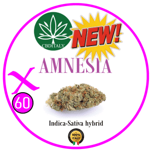 AMNESIA X D9 THCB 60%