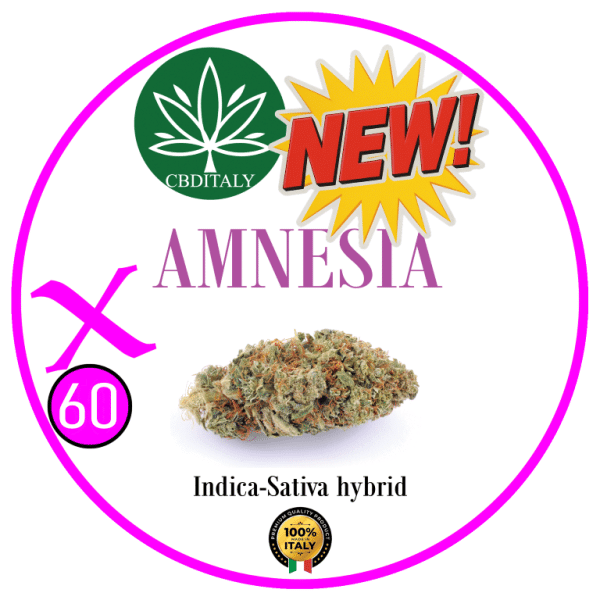 AMNESIA X D9 THCB 60%