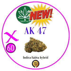 AK-47 X D9 THCBO 60%
