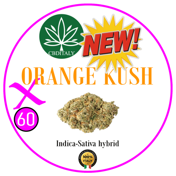 ORANGE KUSH X D9 THCB 60%