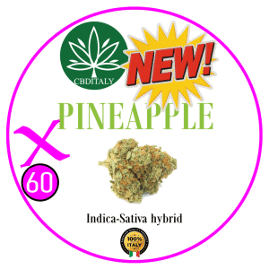 PINEAPPLE X D9 THCB 60%