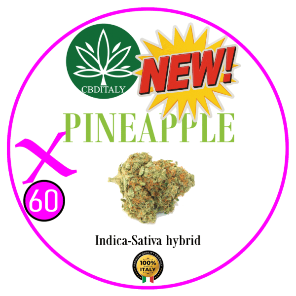 PINEAPPLE X D9 THCB 60%