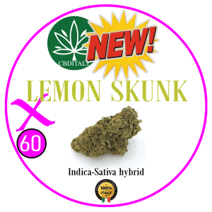 LEMON SKUNK X D9-THCBO 60%