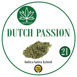 OUTLET Kaņepju ziedi CBG 21% FORCE DUTCH PASSION 10g *OUTLET