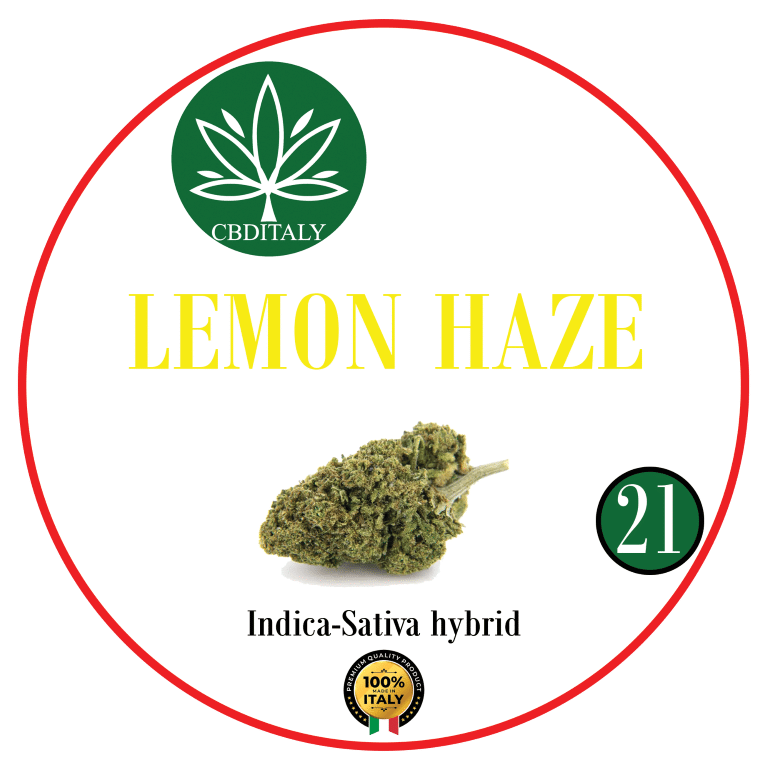 LEMON HAZE CBD 21% no 2,5€/g