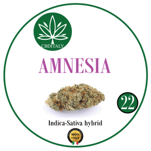 AMNESIA CBD 20% no 2,5€/g