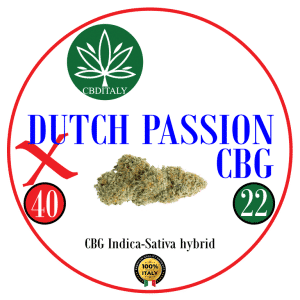 CBG DUTCH PASSION X D9 THCV 40%