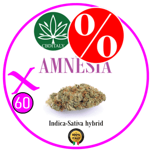 AMNESIA X D9 THCBO 60% 10g *OUTLET