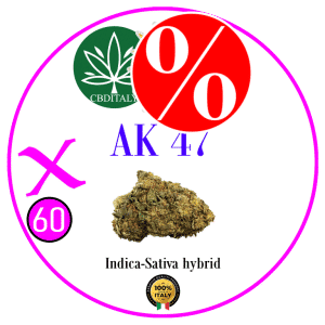 AK-47 X D9 THCBO 60% 10g **OUTLET**