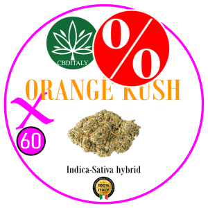 ORANGE KUSH X HHCP-M 60% 10g *OUTLET