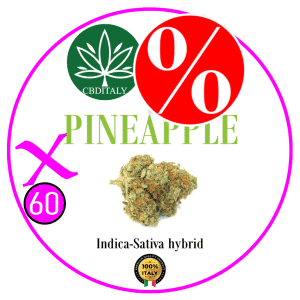 PINEAPPLE X D9 THCBO 60% 10g *OUTLET
