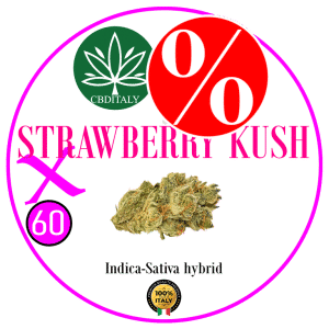 STRAWBERRY KUSH X D9 THCBO 60% 10g *OUTLET
