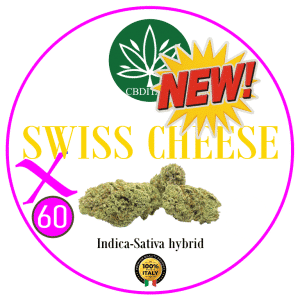 SWISS CHEESE X D9 THCB 60%