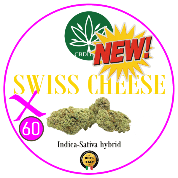 SWISS CHEESE X D9 THCB 60%