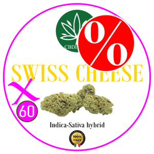 SWISS CHEESE X HHCP-M 60% 10g *OUTLET