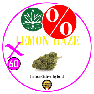 LEMON HAZE X HHCP-M 60% 10g *OUTLET