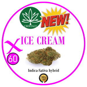 ICE CREAM X HHCP-M 60%