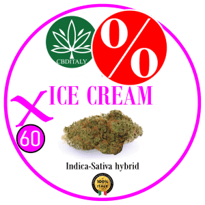 ICE CREAM X HHCP-M 60% 10g *OUTLET