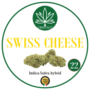 SWISS CHEESE CBD 22 % no 2,5€/g