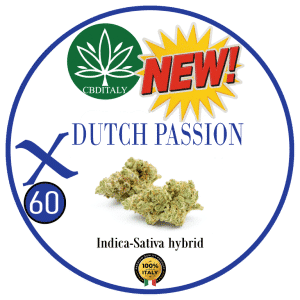 DUTCH PASSION X THCVO 60%