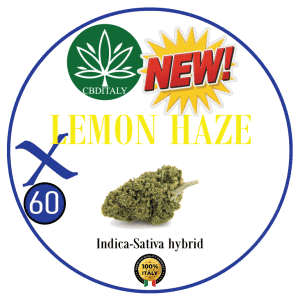 LEMON HAZE X THCVO 60%